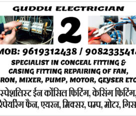 Guddu Electrician