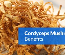 MYCONUTRA CORDYCEPS COMPANY