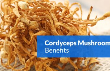 MYCONUTRA CORDYCEPS COMPANY